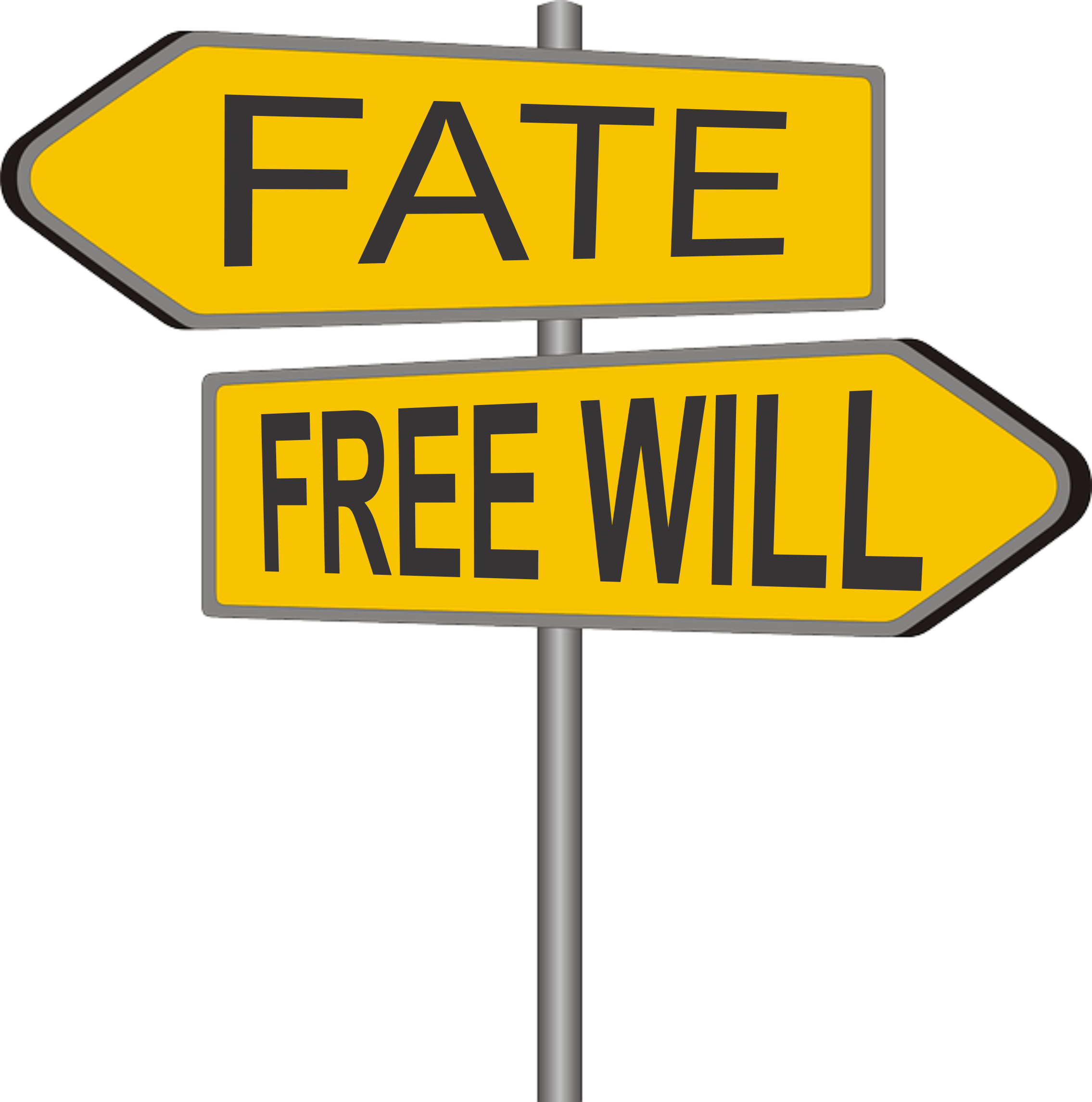 fate and free will